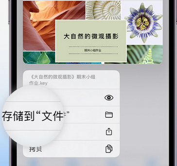 济南apple维修中心分享iPhone文件应用中存储和找到下载文件