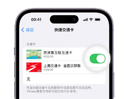 济南apple维修点分享iPhone上更换Apple Pay快捷交通卡手绘卡面 