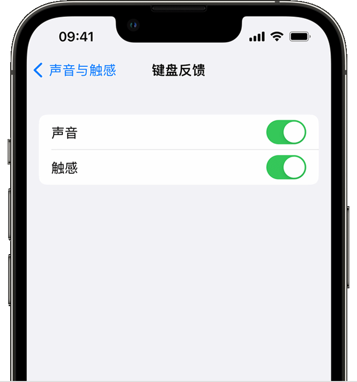 济南苹果14维修店分享如何在 iPhone 14 机型中使用触感键盘 