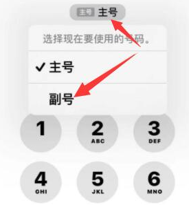 济南苹果14维修店分享iPhone 14 Pro Max使用副卡打电话的方法 