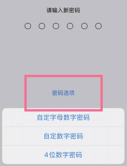 济南苹果14维修分享iPhone 14plus设置密码的方法 