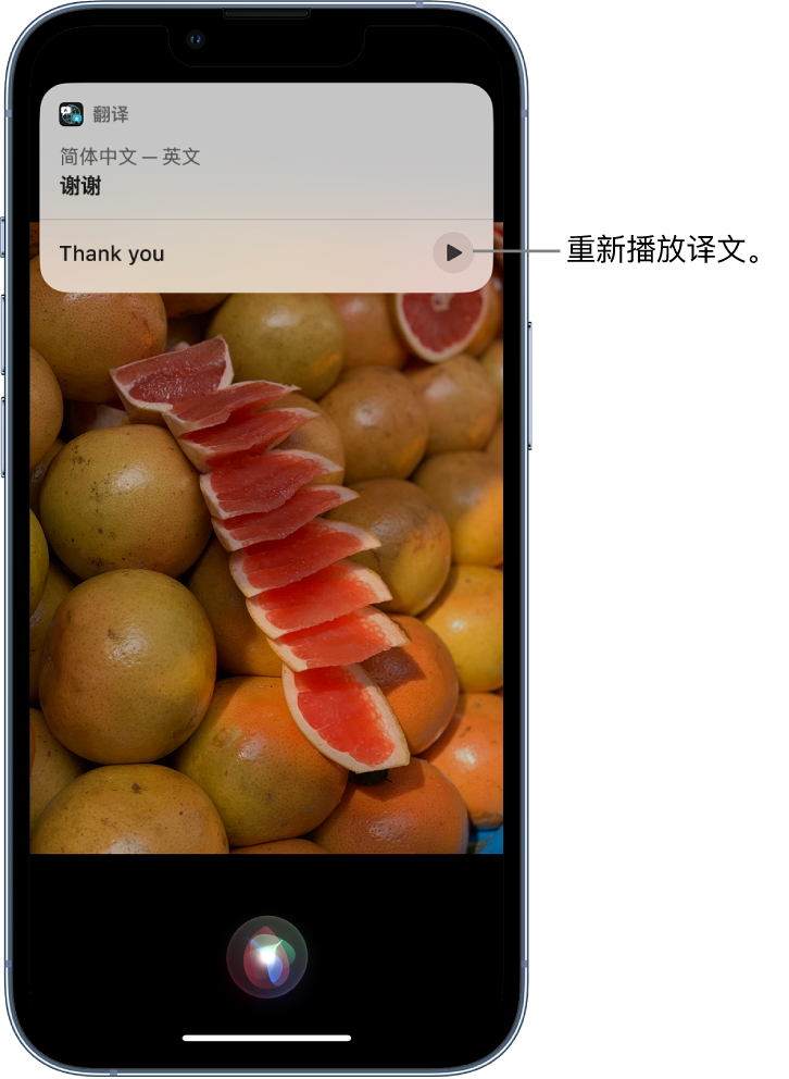 济南苹果14维修分享 iPhone 14 机型中使用 Siri：了解 Siri 能帮你做什么 