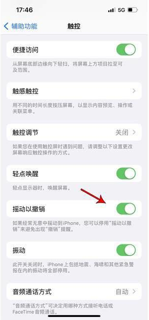 济南苹果手机维修分享iPhone手机如何设置摇一摇删除文字 