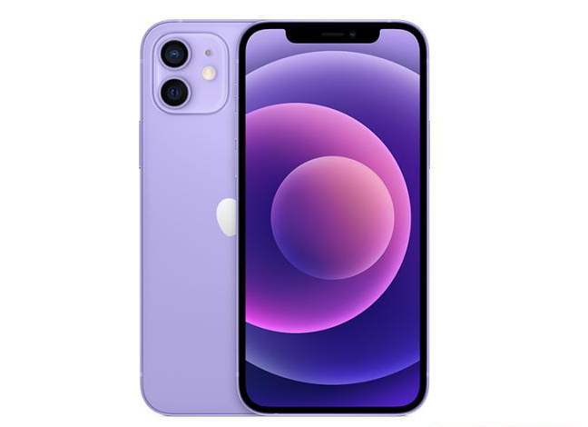 济南苹果手机维修分享现阶段要不要入手紫色版iPhone12 