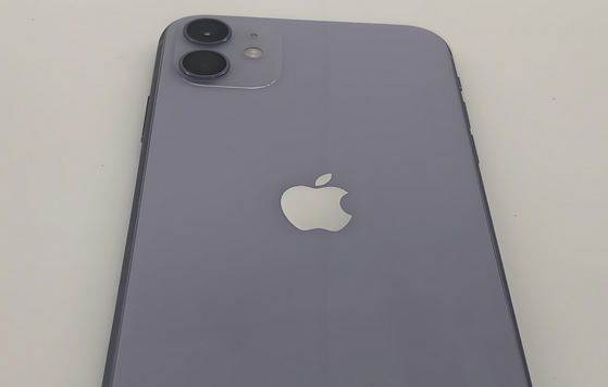 济南苹果11系统维修分享iPhone11手机系统崩溃无法开机如何解决 
